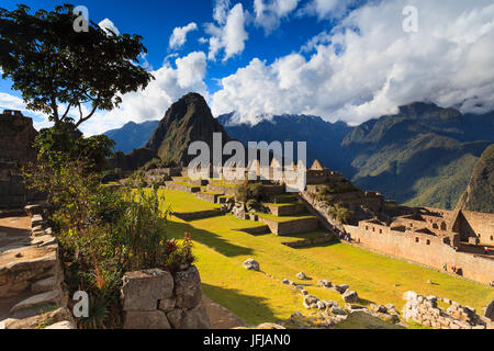 Iconic archäologische Stätte von Machu Picchu in der Region Cusco, Urubamba Provinz, Machupicchu District, Peru, Südamerika Stockfoto