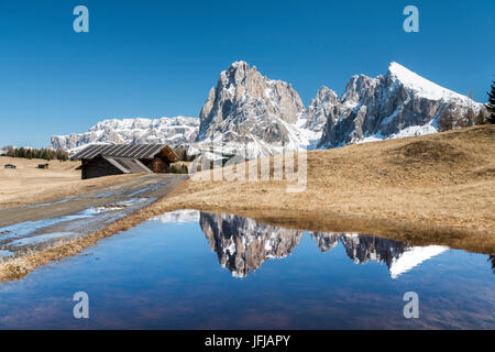 Alpe di Seis/Seiser Alm, Dolomiten, Südtirol, Italien, Reflexionen auf der Alpe di Seis/Seiser Alm Stockfoto