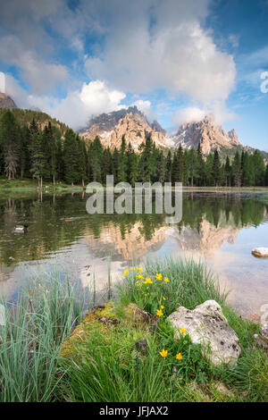 Misurina, Dolomiten, Veneto, Italien, die Klippen der Cadini-Gruppe spiegeln sich in den Lago d'Antorno Stockfoto
