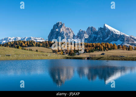 Alpe di Seis/Seiser Alm, Dolomiten, Südtirol, Italien, Reflexionen auf der Alpe di Seis/Seiser Alm Stockfoto