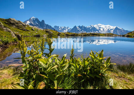 Der Mont Blanc-Bergkette spiegelt sich in den Gewässern des Lac de Chesery, Haute Savoie-Frankreich Stockfoto