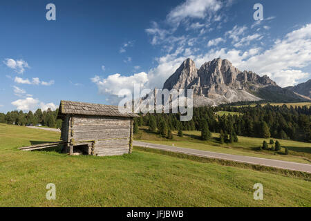 Europa, Italien, South Tyrol, Bozen, typisch alpine Hütte in der Nähe der Passo Delle Erbe Straße, im Hintergrund die Sass de Peitlerkofels (Peitlerkofel), Dolomiten Stockfoto