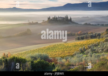 Toskanische Landschaft bei Sonnenaufgang, Podere Belvedere, San Quirico d ' Orcia, Val d ' Orcia, Toskana, Italien, Stockfoto