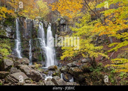 Dardagna Wasserfälle im Herbst, Corno Alle Scale Regional Park, Lizzano in Belvedere, Emilia Romagna, Italien, Stockfoto