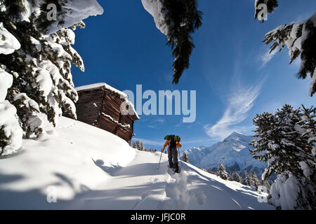 Wanderer, gesegnet mit Schneeschuhen im Neuschnee im Baite Ables, Valfurva, Valtellina, Lombardei, Italien, Stockfoto