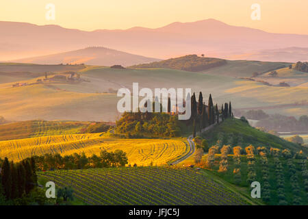 Europa, Italien, Toskana, Siena Bezirk, Orcia-Tals, Belvedere Bauernhaus bei Sonnenaufgang Stockfoto