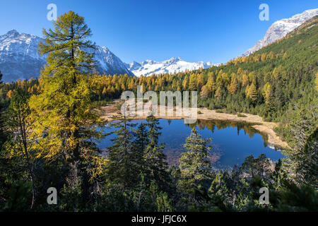 Blick auf die Farben des Herbstes in Valmalenco, Valtellina, Entova See, Lombardei, Italien Europa Stockfoto