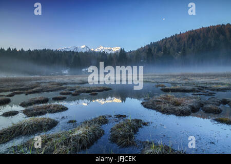 Orobie Alpen spiegeln sich im Moor von Pian di Gembro Aprica, Valcamonica, Valtellina, Lombardei, Italien, Europa Stockfoto