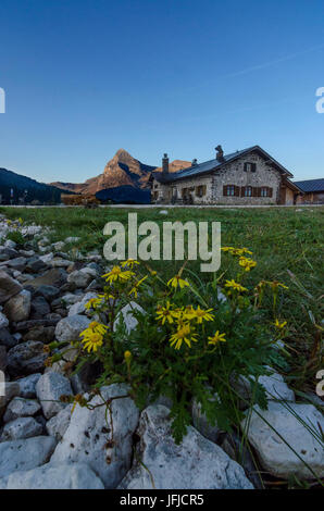 Rolle-Pass, Pale di San Martino, Dolomiten, Trient, Südtirol, Italien, Sonnenaufgang am Passo Rolle Stockfoto