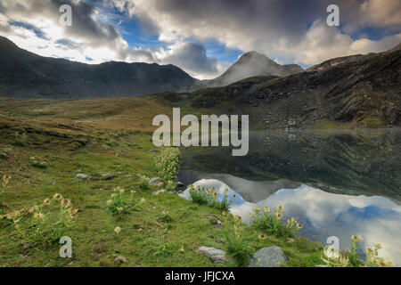 Die hohen Gipfel und Wolken spiegeln sich in Fenetre Seen Ferret-Tal Saint Rhémy Grand St. Bernard Aosta Valley Italy Europe Stockfoto