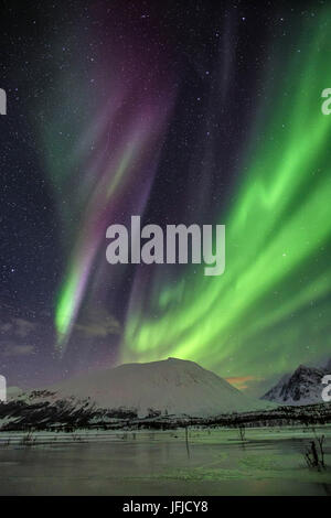 Aurora Borealis auf die gefrorenen Lagune Jaegervatnet Stortind Lyngen Alpen Tromsø Lappland Norwegen Europas Stockfoto