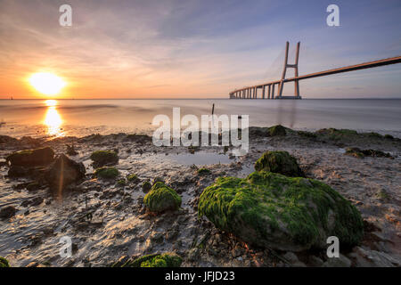 Die Sonne geht auf die Vasco da Gama Bridge, die den Tejo im Parque Das Nações Lissabon Portugal Europa erstreckt Stockfoto