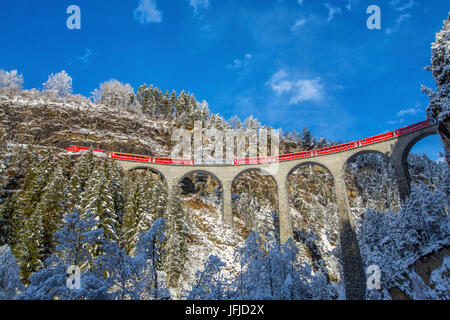 Bernina Express führt durch die verschneiten Wälder Filisur Kanton Graubünden-Schweiz-Europa Stockfoto