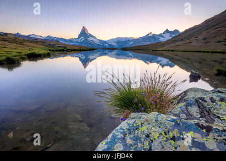 Das Matterhorn spiegelt sich im See Stellisee im Morgengrauen Zermatt Walliser Alpen Kanton Wallis Schweiz Europas Stockfoto