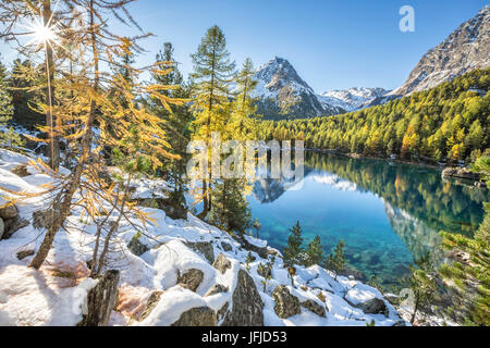 Bunte Wälder spiegelt sich in das blaue Wasser des Sees Saoseo Poschiavo Valley Kanton Graubünden Schweiz Europas Stockfoto