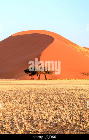 Düne 45 komponierte die Sterne Düne von 5 Millionen Jahre alten Sand Sossusvlei Namib Wüste Naukluft National Park in Namibia Afrika Stockfoto