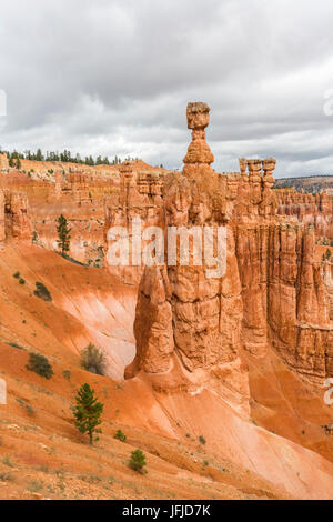 Hoodoos und Thors Hammer aus Navajo Trail Loop, Bryce-Canyon-Nationalpark, Garfield County, Utah, USA Stockfoto