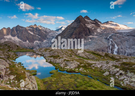 Genova-Tal, Adamello Brenta natürlichen park, Provinz Trento, Trentino Alto Adige, Italien, einer der vielen kleinen Seen, die die Mandrone Hütte umgeben, im Backgroud gibt es drei Lobbie und eine Zunge des Adamello Gletscher Stockfoto