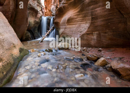 Wasserfall und Leiter in Kanarra Creek Canyon, Kanarraville, Iron County, Utah, USA Stockfoto