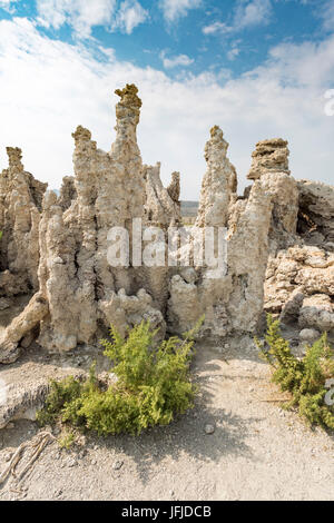 Tuffstein Türme, Mono Lake, Mono County, Kalifornien, USA, Stockfoto