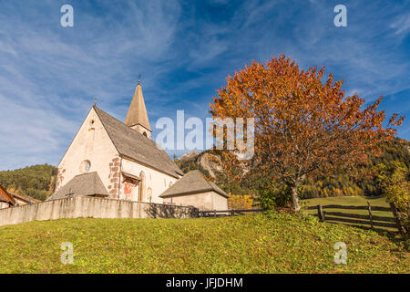 Herbstliche Kirschbaum und die Kirche des Dorfes Santa Maddalena, Funes, Bozen, Trentino Alto Adige - Südtirol, Italien, Europa Stockfoto