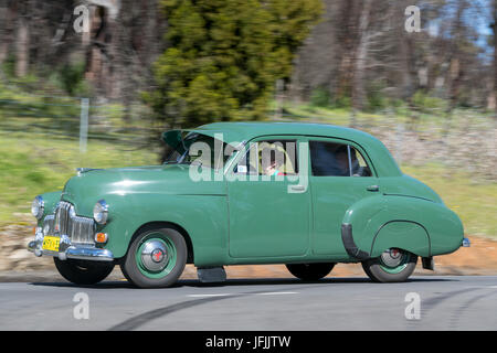 Jahrgang 1953 Holden FX fahren auf der Landstraße in der Nähe der Stadt Birdwood, South Australia. Stockfoto