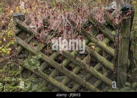 Die verfallenen Garten Tür Stockfoto