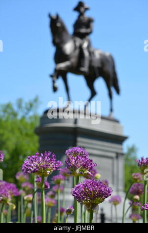 Die Statue von George Washington in Boston Public Garden. Stockfoto