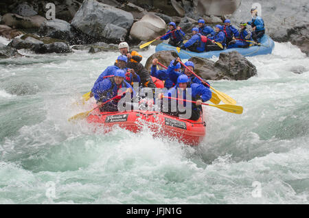 Wildwasser-rafting auf der Skykomish River, Washington Stockfoto