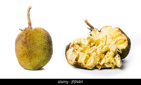 Ganze Jackfrüchte isoliert auf weißem Hintergrund. Tropische Früchte Stockfoto