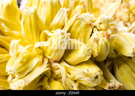 Offenen Jackfrüchte hautnah Textur. Tropische Früchte Stockfoto