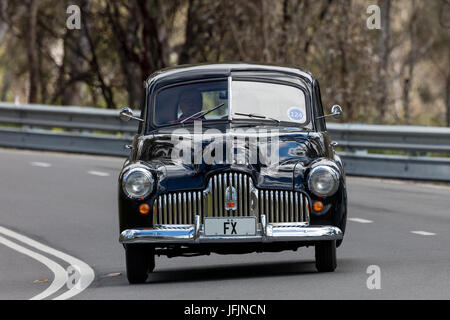 Jahrgang 1950 Holden FX Limousine fahren auf der Landstraße in der Nähe der Stadt Birdwood, South Australia. Stockfoto