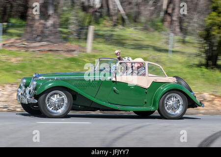 Vintage grün 1954 MG TF Cabrio fahren auf der Landstraße in der Nähe der Stadt Birdwood, South Australia. Stockfoto