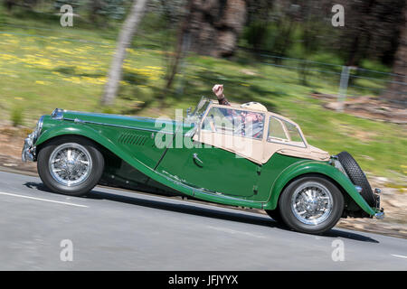 Vintage grün 1954 MG TF Cabrio fahren auf der Landstraße in der Nähe der Stadt Birdwood, South Australia. Stockfoto