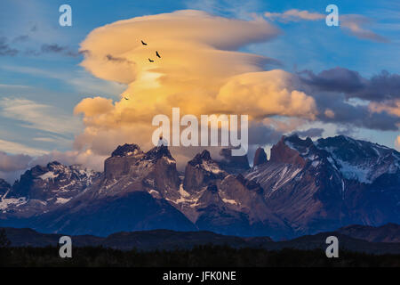 Unter den Wolken fliegen Herde von Andean condors Stockfoto