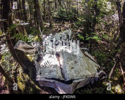 Alte Flugzeugabsturz langsam löst sich in den Wald Stockfoto