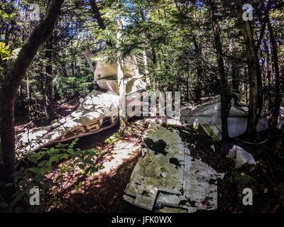 Alte Flugzeugabsturz langsam löst sich in den Wald Stockfoto