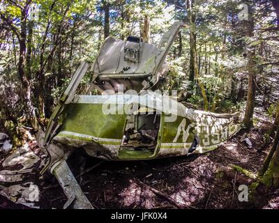 Alte Flugzeugabsturz langsam löst sich in den Wald Stockfoto