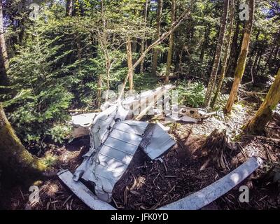 Alte Flugzeugabsturz langsam löst sich in den Wald Stockfoto