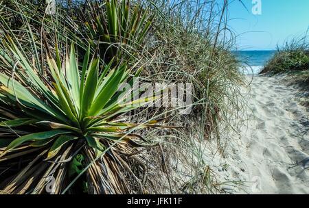 Einen malerischen Blick auf Oak Island Beach North Carolina Stockfoto