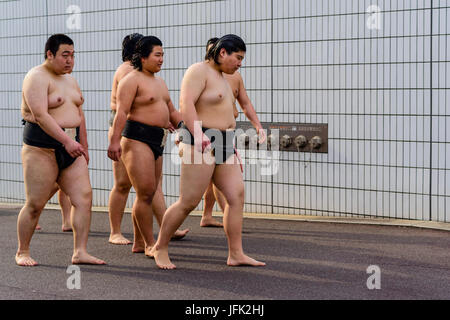 Sumo Stockfoto