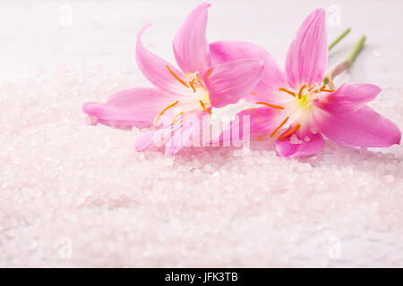 Zwei rosa Lilien und Mineral Badesalz. Selektiven Fokus.   Rosa Regen-Lilie Stockfoto