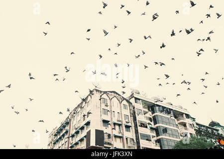 Yangon/Rangun Straßenansicht - Innenstadt Hauptstadt Rangun Myanmar - Reise-Foto. Stockfoto