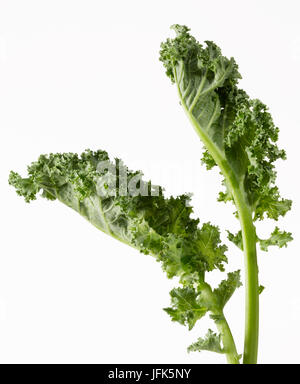 Kale Stockfoto