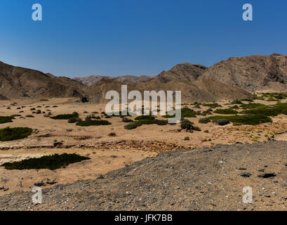 Etosha National Park Mountain Landschaft in Namibia Südafrika Stockfoto