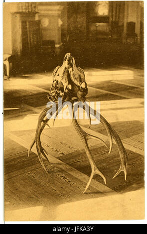 Diese Postkarte aus dem Jahr 1902 zeigt das Geweih und das Innere der Burg Moritzburg im Landkreis Meißen in Sachsen. Das Bild spiegelt die historische Bedeutung und die Merkmale des Schlosses wider, herausgegeben von Brück & Sohn Kunstverlag. Stockfoto