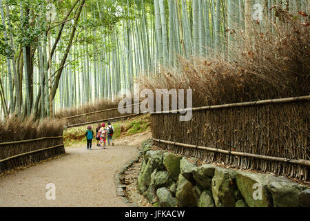 Arashyima Bambuswald in Kyoto, Japan Stockfoto