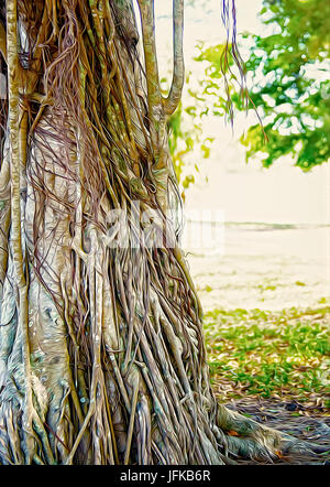 Feste Wurzeln Stockfoto