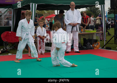 Biggin Hill, UK. 1. Juli 2017. Biggin Hill jährliche Festival startet in Kent. Das Festival hat eine Menge Spaß für alles, was die Familie komplett mit einem lustigen Hund zeigen, Judo-Show, Gymnastik, Bauchtänzerinnen, Reptilien, Kirmes Fahrgeschäfte, Buden, Oldtimer, Motorräder, Performing Arts School und wurde durch den Bürgermeister von Bromley, Cllr Kathy Bance MBE eröffnet. In diesem Jahr nach Auswaschung letztes Jahr durch Starkregen gab es schönen blauen Himmel. Bildnachweis: Keith Larby/Alamy Live-Nachrichten Stockfoto