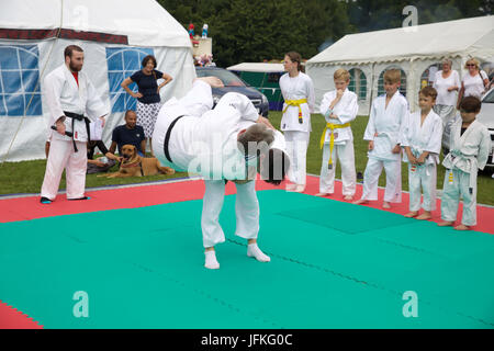 Biggin Hill, UK. 1. Juli 2017. Biggin Hill jährliche Festival startet in Kent. Das Festival hat eine Menge Spaß für alles, was die Familie komplett mit einem lustigen Hund zeigen, Judo-Show, Gymnastik, Bauchtänzerinnen, Reptilien, Kirmes Fahrgeschäfte, Buden, Oldtimer, Motorräder, Performing Arts School und wurde durch den Bürgermeister von Bromley, Cllr Kathy Bance MBE eröffnet. In diesem Jahr nach Auswaschung letztes Jahr durch Starkregen gab es schönen blauen Himmel. Bildnachweis: Keith Larby/Alamy Live-Nachrichten Stockfoto